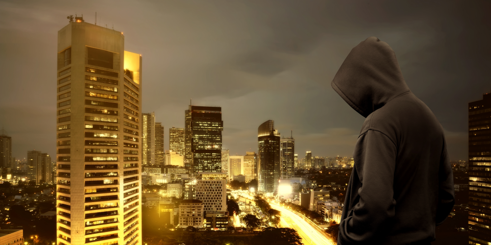 浪子开发-软件开发指导-程序讲解-服务器部署-本地搭建-java-python-php