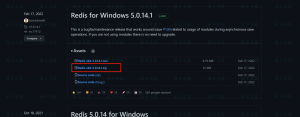 Redis下载和安装(Windows系统)-软件开发指导