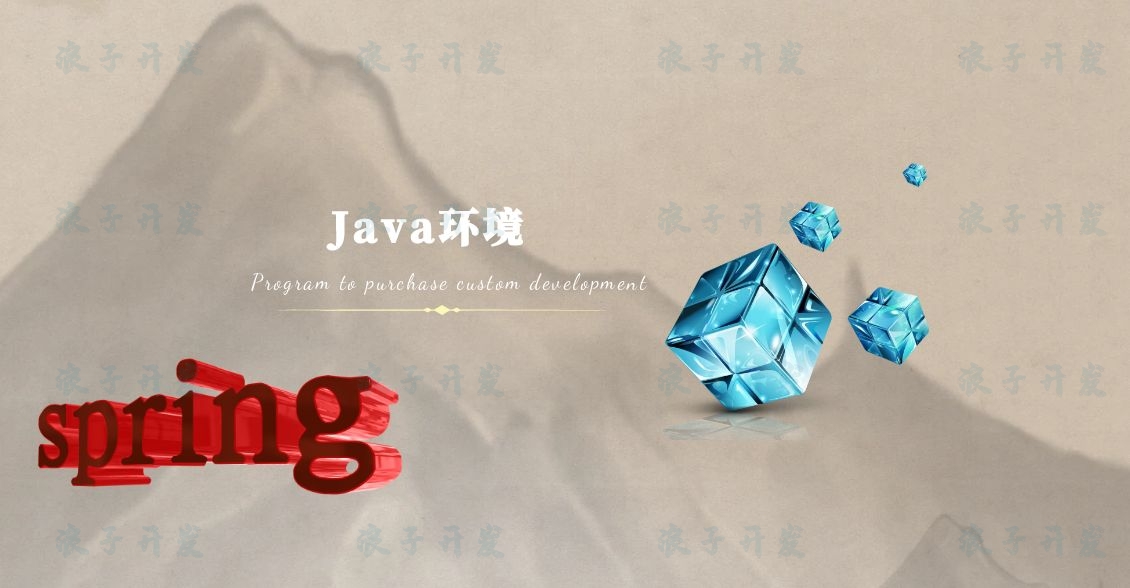 JAVA开发软件-软件开发指导